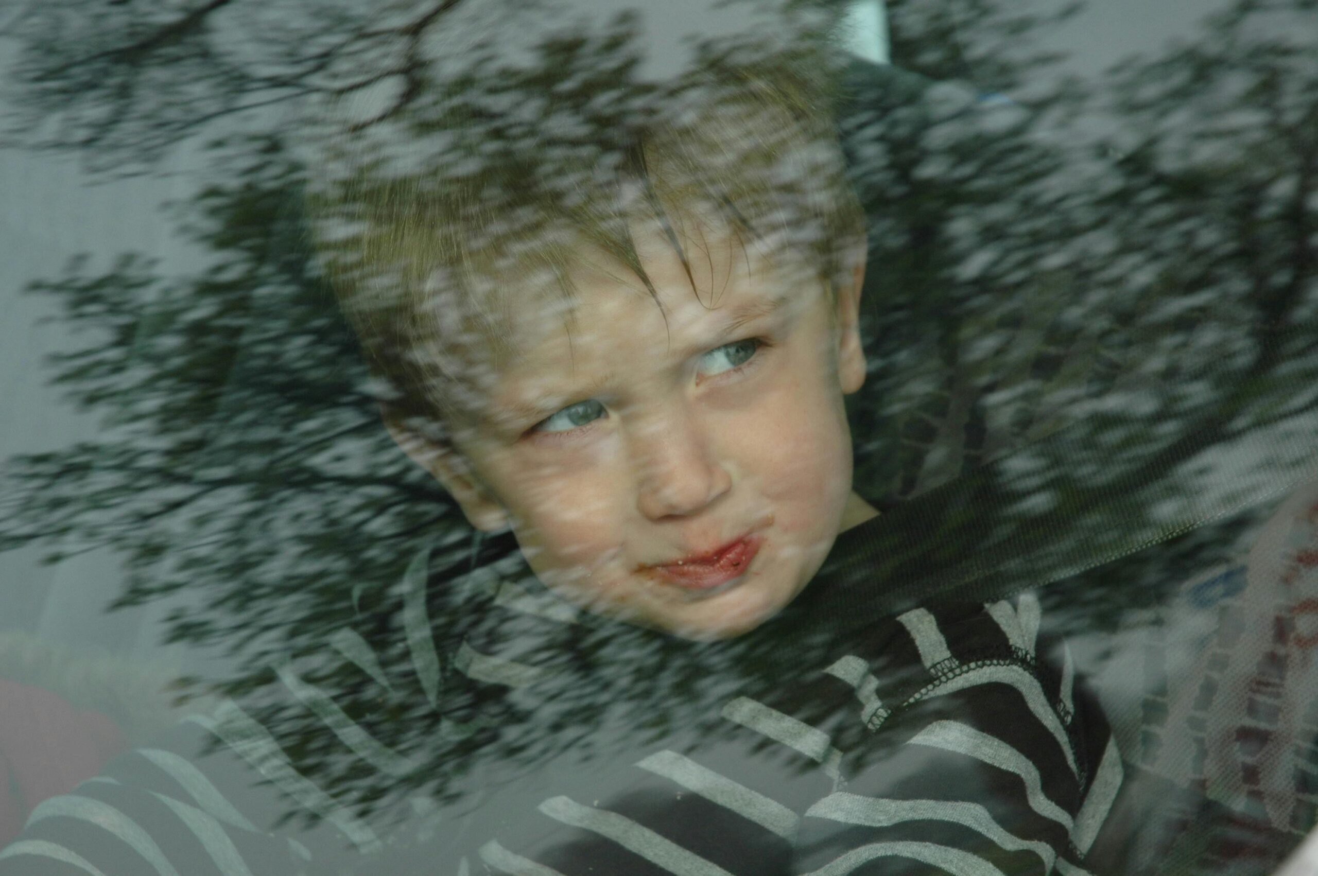 A child looks out a car window with tree reflections overlaying their face.